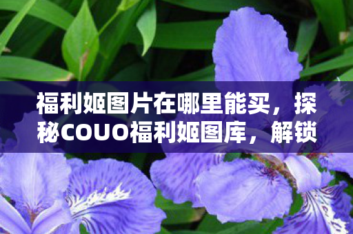 福利姬图片在哪里能买,探秘COUO福利姬图库,解锁隐藏的艺术与娱乐宝藏 福利姬图片在哪里能买,探秘COUO福利姬图库,解锁隐藏的艺术与娱乐宝藏