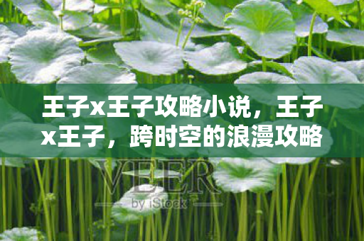 王子x王子攻略小说，王子x王子，跨时空的浪漫攻略