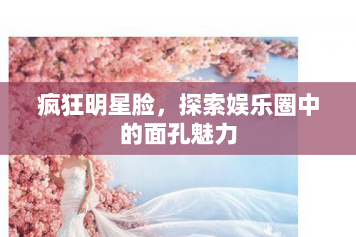 疯狂明星脸,探索娱乐圈中的面孔魅力 疯狂明星脸,探索娱乐圈中的面孔魅力