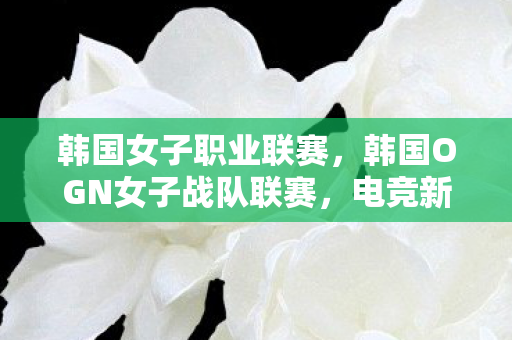 韩国女子职业联赛,韩国OGN女子战队联赛,电竞新势力的崛起 韩国女子职业联赛,韩国OGN女子战队联赛,电竞新势力的崛起