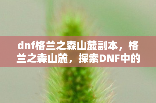 dnf格兰之森山麓副本,格兰之森山麓,探索DNF中的神秘之地 dnf格兰之森山麓副本,格兰之森山麓,探索DNF中的神秘之地