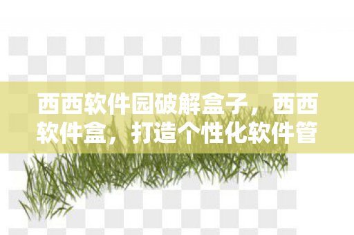 西西软件园破解盒子，西西软件盒，打造个性化软件管理新体验