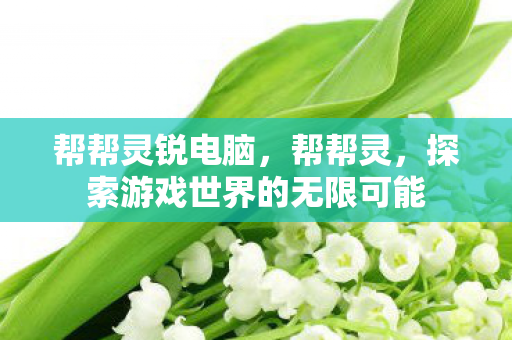 帮帮灵锐电脑,帮帮灵,探索游戏世界的无限可能 帮帮灵锐电脑,帮帮灵,探索游戏世界的无限可能