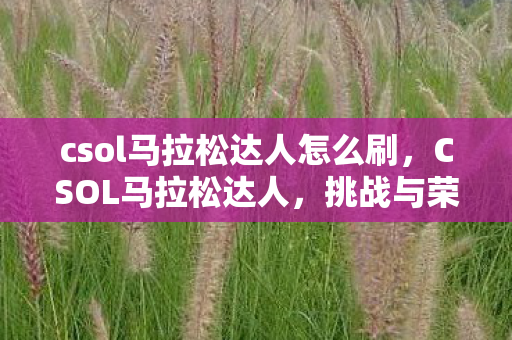 csol马拉松达人怎么刷,CSOL马拉松达人,挑战与荣耀的征途 csol马拉松达人怎么刷,CSOL马拉松达人,挑战与荣耀的征途