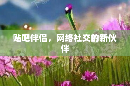 贴吧伴侣,网络社交的新伙伴 贴吧伴侣,网络社交的新伙伴