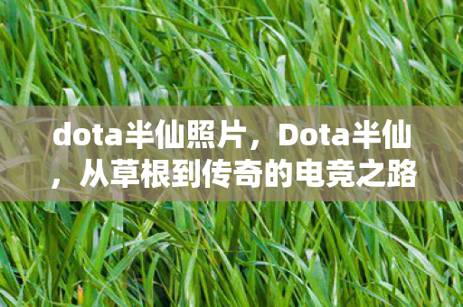 dota半仙照片,Dota半仙,从草根到传奇的电竞之路 dota半仙照片,Dota半仙,从草根到传奇的电竞之路