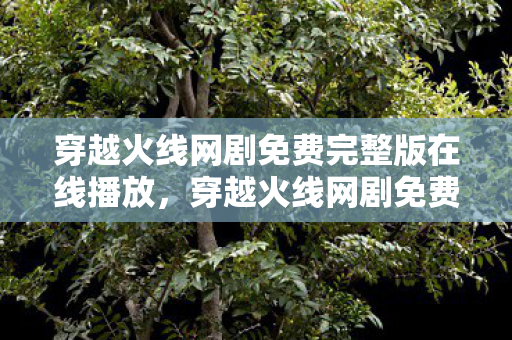 穿越火线网剧免费完整版在线播放,穿越火线网剧免费完整版,一场虚拟世界的热血对决 穿越火线网剧免费完整版在线播放,穿越火线网剧免费完整版,一场虚拟世界的热血对决