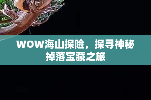 WOW海山探险,探寻神秘掉落宝藏之旅 WOW海山探险,探寻神秘掉落宝藏之旅