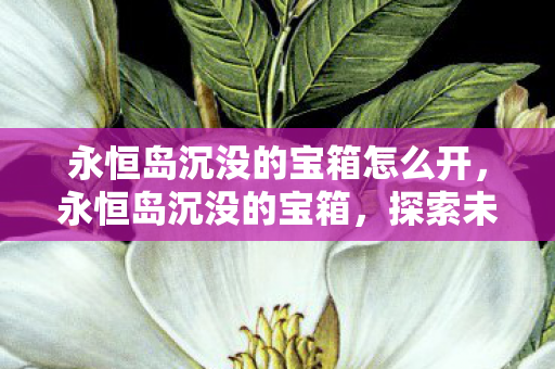 永恒岛沉没的宝箱怎么开,永恒岛沉没的宝箱,探索未知海域的传奇宝藏 永恒岛沉没的宝箱怎么开,永恒岛沉没的宝箱,探索未知海域的传奇宝藏