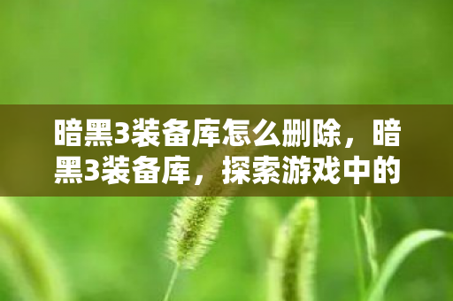 暗黑3装备库怎么删除,暗黑3装备库,探索游戏中的神器与传奇 暗黑3装备库怎么删除,暗黑3装备库,探索游戏中的神器与传奇