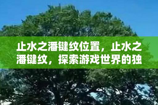 止水之潘键纹位置,止水之潘键纹,探索游戏世界的独特魅力 止水之潘键纹位置,止水之潘键纹,探索游戏世界的独特魅力