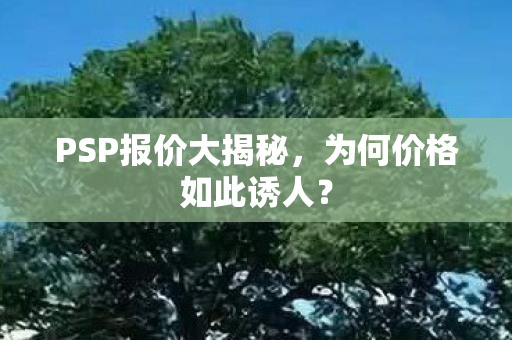 PSP报价大揭秘,为何价格如此诱人? PSP报价大揭秘,为何价格如此诱人?