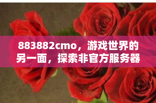 883882cmo,游戏世界的另一面,探索非官方服务器的独特魅力 883882cmo,游戏世界的另一面,探索非官方服务器的独特魅力
