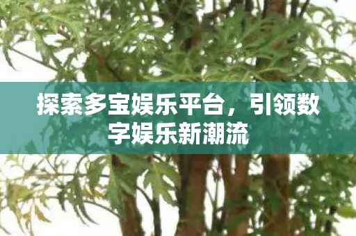 探索多宝娱乐平台,引领数字娱乐新潮流 探索多宝娱乐平台,引领数字娱乐新潮流