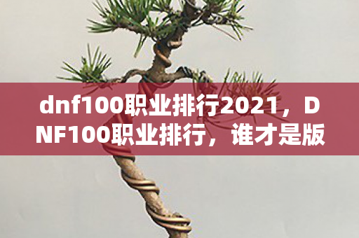 dnf100职业排行2021,DNF100职业排行,谁才是版本之子? dnf100职业排行2021,DNF100职业排行,谁才是版本之子?