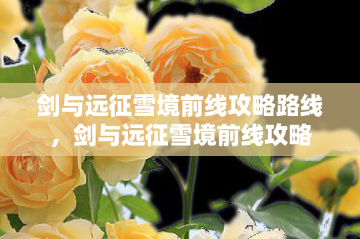 剑与远征雪境前线攻略路线,剑与远征雪境前线攻略 剑与远征雪境前线攻略路线,剑与远征雪境前线攻略