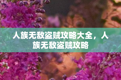 人族无敌盗贼攻略大全,人族无敌盗贼攻略 人族无敌盗贼攻略大全,人族无敌盗贼攻略