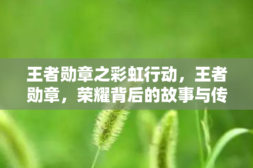 王者勋章之彩虹行动,王者勋章,荣耀背后的故事与传承 王者勋章之彩虹行动,王者勋章,荣耀背后的故事与传承
