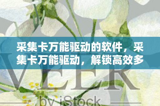 采集卡万能驱动的软件，采集卡万能驱动，解锁高效多媒体采集的钥匙