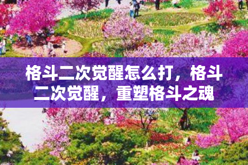 格斗二次觉醒怎么打,格斗二次觉醒,重塑格斗之魂 格斗二次觉醒怎么打,格斗二次觉醒,重塑格斗之魂
