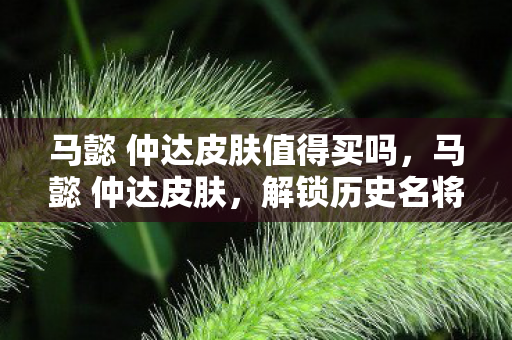 马懿 仲达皮肤值得买吗,马懿 仲达皮肤,解锁历史名将的时尚新风貌 马懿 仲达皮肤值得买吗,马懿 仲达皮肤,解锁历史名将的时尚新风貌