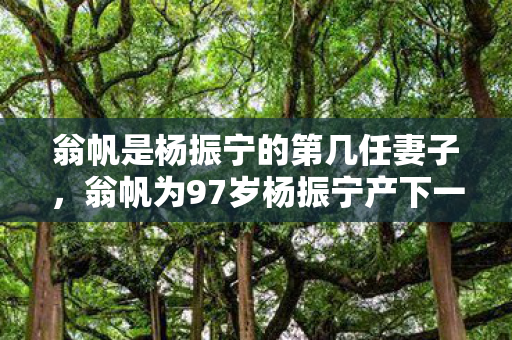 翁帆是杨振宁的第几任妻子,翁帆为97岁杨振宁产下一子 翁帆是杨振宁的第几任妻子,翁帆为97岁杨振宁产下一子