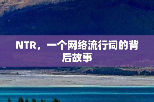 NTR，一个网络流行词的背后故事
