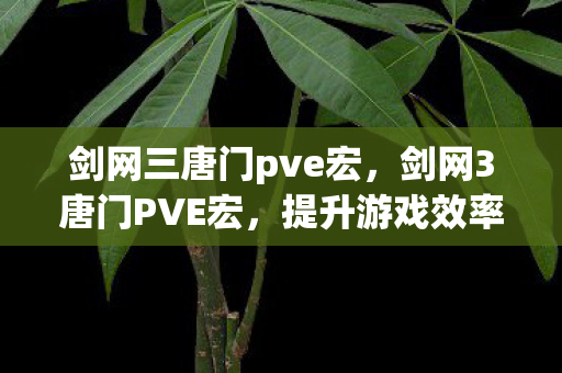 剑网三唐门pve宏，剑网3唐门PVE宏，提升游戏效率与体验的关键