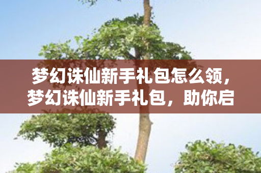 梦幻诛仙新手礼包怎么领,梦幻诛仙新手礼包,助你启程,畅游奇幻世界 梦幻诛仙新手礼包怎么领,梦幻诛仙新手礼包,助你启程,畅游奇幻世界