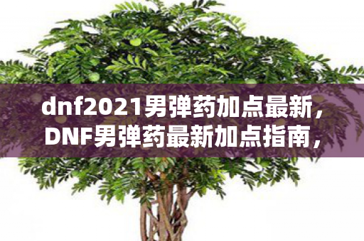 dnf2021男弹药加点最新,DNF男弹药最新加点指南,打造高效战斗风格 dnf2021男弹药加点最新,DNF男弹药最新加点指南,打造高效战斗风格