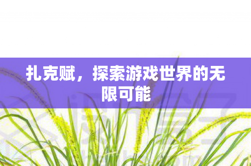 扎克赋,探索游戏世界的无限可能 扎克赋,探索游戏世界的无限可能