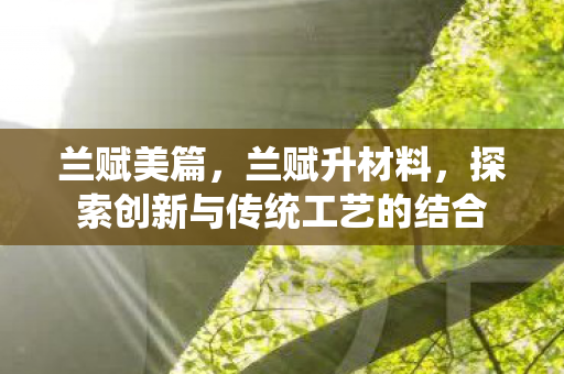 兰赋美篇,兰赋升材料,探索创新与传统工艺的结合 兰赋美篇,兰赋升材料,探索创新与传统工艺的结合