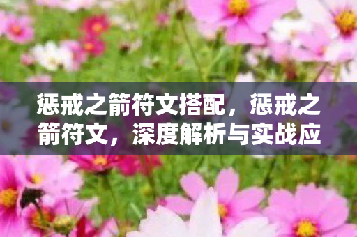 惩戒之箭符文搭配,惩戒之箭符文,深度解析与实战应用 惩戒之箭符文搭配,惩戒之箭符文,深度解析与实战应用