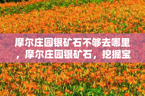 摩尔庄园银矿石不够去哪里,摩尔庄园银矿石,挖掘宝藏,点亮庄园的奇妙之旅 摩尔庄园银矿石不够去哪里,摩尔庄园银矿石,挖掘宝藏,点亮庄园的奇妙之旅
