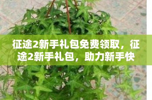 征途2新手礼包免费领取，征途2新手礼包，助力新手快速成长