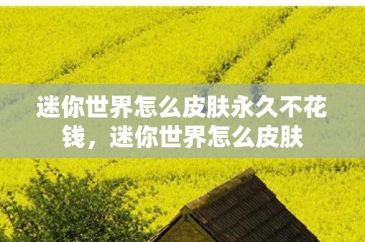 迷你世界怎么皮肤永久不花钱,迷你世界怎么皮肤 迷你世界怎么皮肤永久不花钱,迷你世界怎么皮肤