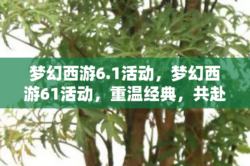 梦幻西游6.1活动,梦幻西游61活动,重温经典,共赴西游之旅 梦幻西游6.1活动,梦幻西游61活动,重温经典,共赴西游之旅