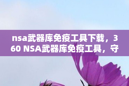 nsa武器库免疫工具下载,360 NSA武器库免疫工具,守护数字安全的强大盾牌 nsa武器库免疫工具下载,360 NSA武器库免疫工具,守护数字安全的强大盾牌