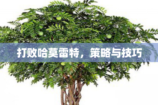 打败哈莫雷特,策略与技巧 打败哈莫雷特,策略与技巧