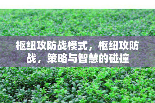 枢纽攻防战模式,枢纽攻防战,策略与智慧的碰撞 枢纽攻防战模式,枢纽攻防战,策略与智慧的碰撞