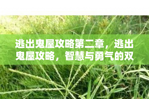 逃出鬼屋攻略第二章，逃出鬼屋攻略，智慧与勇气的双重考验