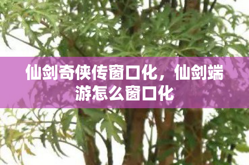仙剑奇侠传窗口化,仙剑端游怎么窗口化 仙剑奇侠传窗口化,仙剑端游怎么窗口化