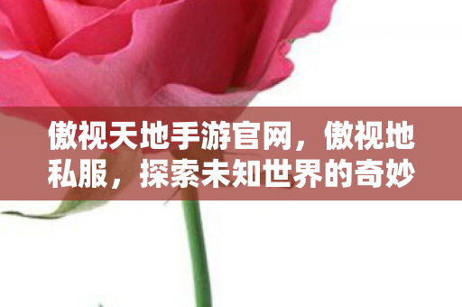 傲视天地手游官网,傲视地私服,探索未知世界的奇妙之旅 傲视天地手游官网,傲视地私服,探索未知世界的奇妙之旅
