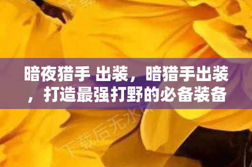 暗夜猎手 出装，暗猎手出装，打造最强打野的必备装备指南