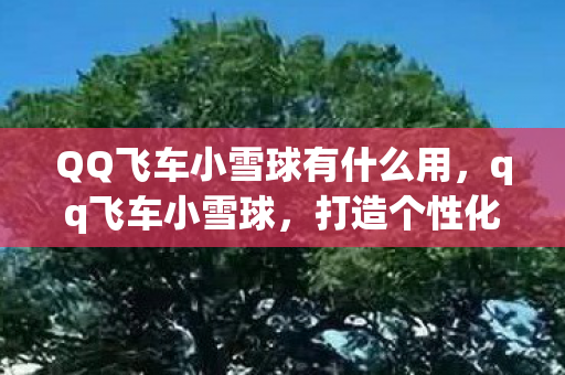 QQ飞车小雪球有什么用，qq飞车小雪球，打造个性化赛道，畅享极速漂移