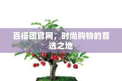 百搭团官网,时尚购物的首选之地 百搭团官网,时尚购物的首选之地