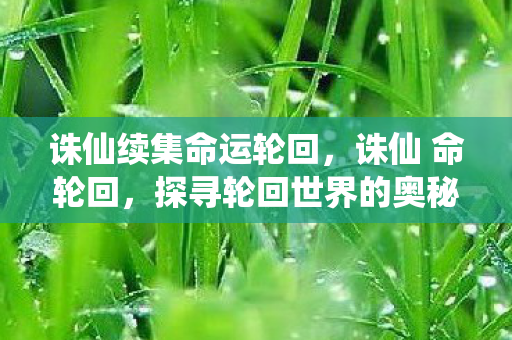 探寻轮回世界的奥秘图片