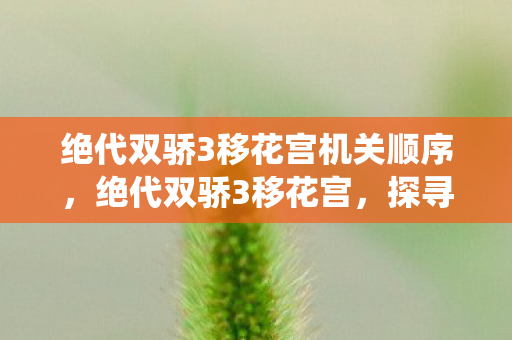 绝代双骄3移花宫机关顺序,绝代双骄3移花宫,探寻江湖中的神秘仙境 绝代双骄3移花宫机关顺序,绝代双骄3移花宫,探寻江湖中的神秘仙境