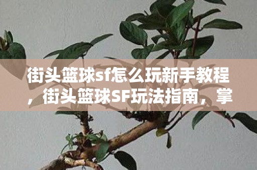 街头篮球sf怎么玩新手教程,街头篮球SF玩法指南,掌握核心技巧,提升游戏水平 街头篮球sf怎么玩新手教程,街头篮球SF玩法指南,掌握核心技巧,提升游戏水平