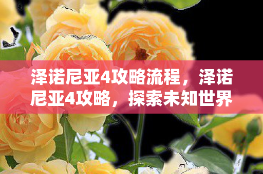 泽诺尼亚4攻略流程,泽诺尼亚4攻略,探索未知世界的勇者之旅 泽诺尼亚4攻略流程,泽诺尼亚4攻略,探索未知世界的勇者之旅